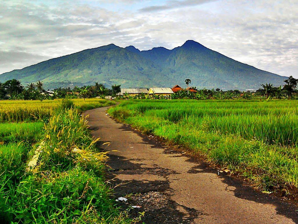 Bogor Valley Hotel Esterno foto