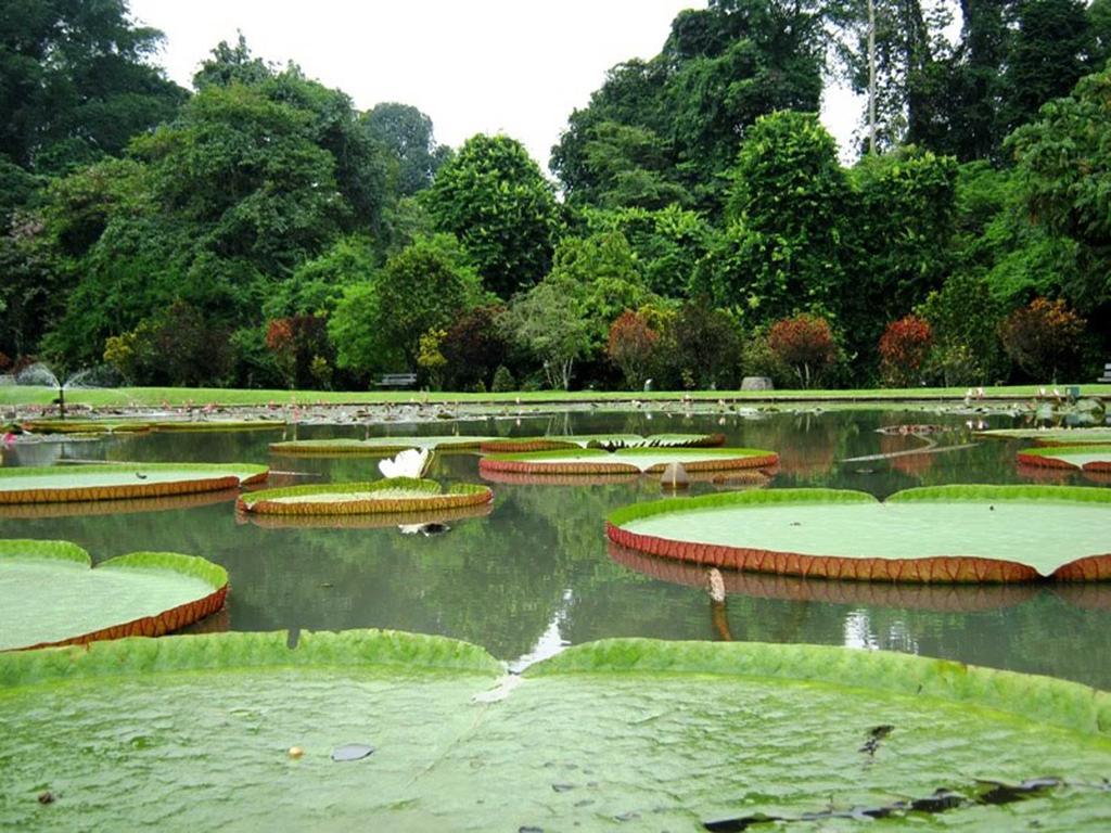 Bogor Valley Hotel Esterno foto